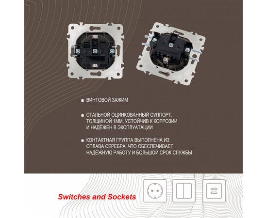 Розетка с заземлением, шторками и защитной крышкой Arte Milano 203.41-1.shampan, изображение 2