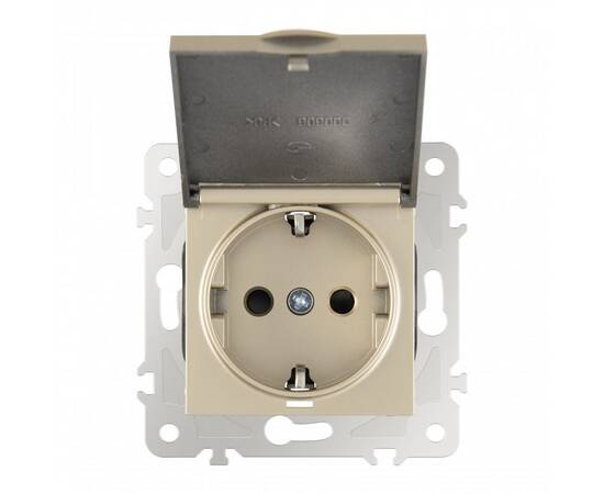 Розетка с заземлением, шторками и защитной крышкой Arte Milano 203.41-1.shampan, изображение 7