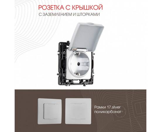 Розетка с заземлением, шторками и защитной крышкой Arte Milano 217.41-1.silver