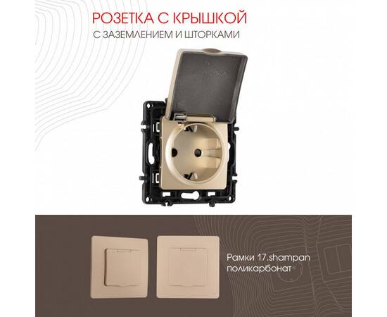 Розетка с заземлением, шторками и защитной крышкой Arte Milano 217.41-1.shampan