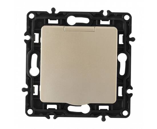 Розетка с заземлением, шторками и защитной крышкой Arte Milano 217.41-1.shampan, изображение 6