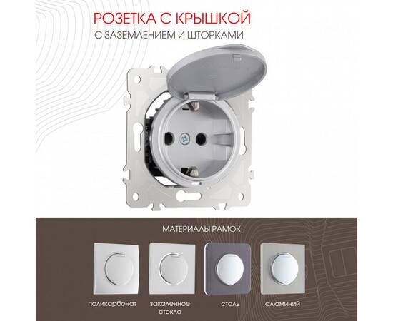 Розетка с заземлением, шторками и защитной крышкой Arte Milano 202.41-1.silver