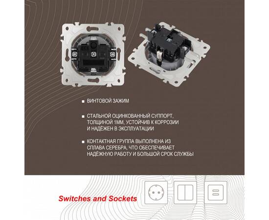 Розетка с заземлением, шторками и защитной крышкой Arte Milano 202.41-1.silver, изображение 2