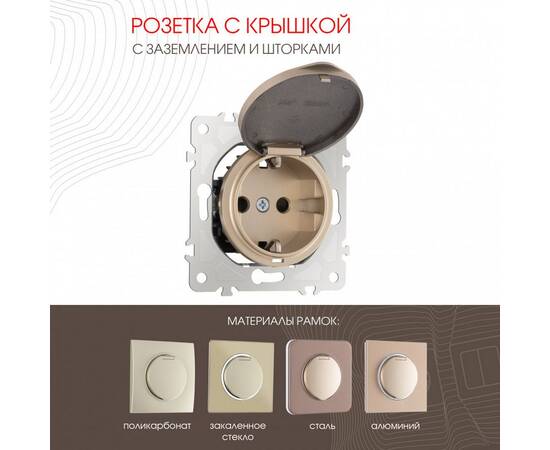 Розетка с заземлением, шторками и защитной крышкой Arte Milano 202.41-1.shampan