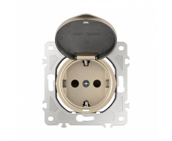 Розетка с заземлением, шторками и защитной крышкой Arte Milano 202.41-1.shampan, изображение 8