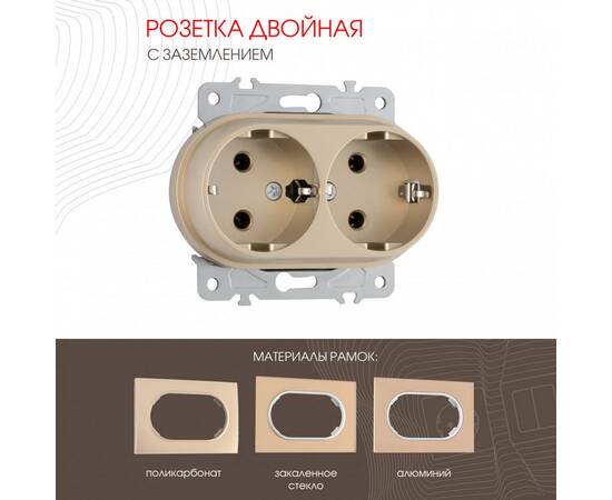 Розетка двойная с заземлением Arte Milano 202.40-2.shampan