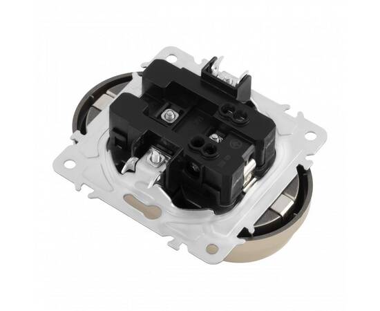 Розетка двойная с заземлением Arte Milano 202.40-2.shampan, изображение 4