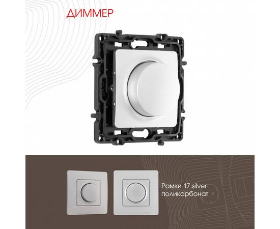 Диммер Arte Milano 217.48-1.silver