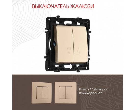 Выключатель жалюзи Arte Milano 217.38-2.shampan