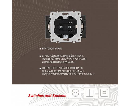 Розетка двойная с заземлением Arte Milano 206.40-2.shampan, изображение 2