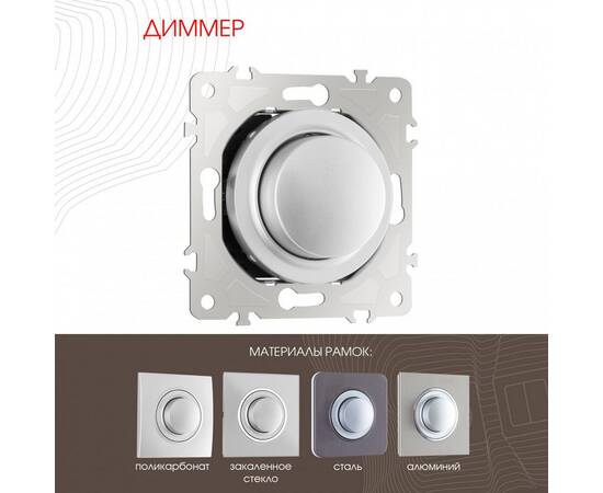 Диммер Arte Milano 202.48-1.silver