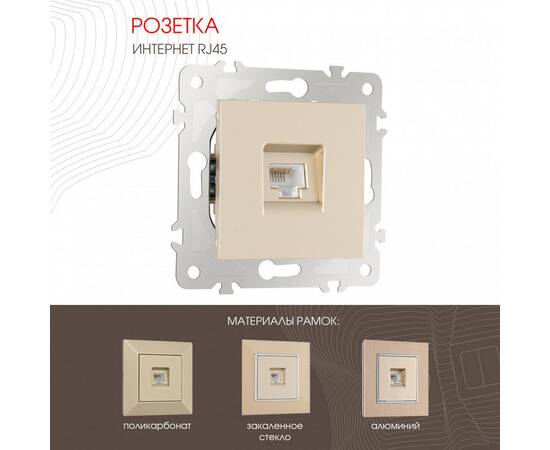 Розетка RJ45 Arte Milano 203.45-1.shampan