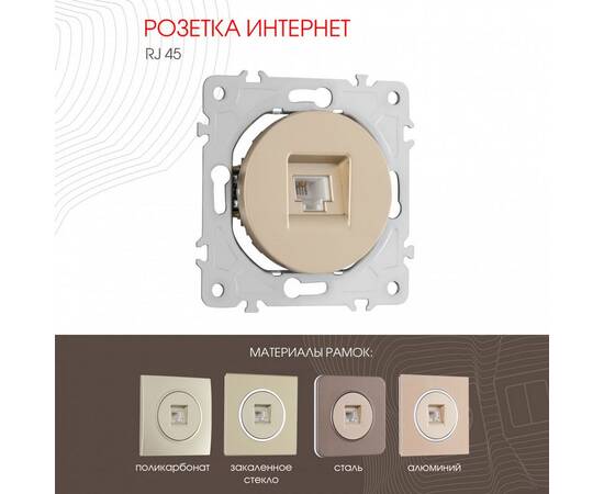 Розетка RJ45 Arte Milano 202.45-1.shampan