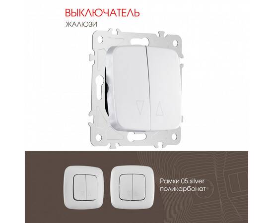 Выключатель жалюзи Arte Milano 205.38-2.silver