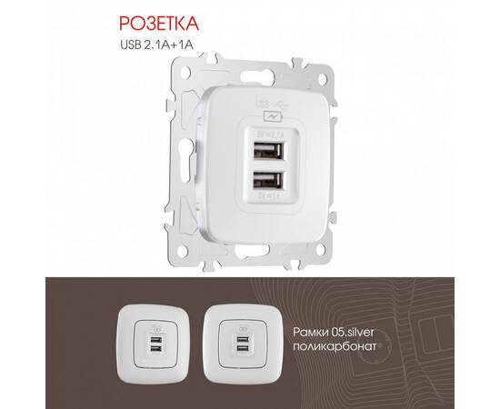 Розетка USB 2.1А+1А Arte Milano 205.46-1.silver