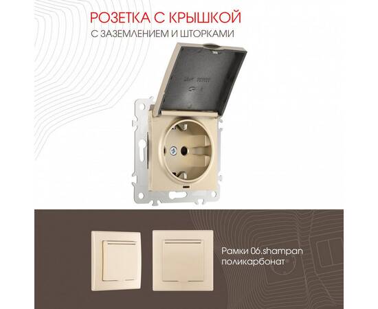 Розетка с заземлением, шторками и защитной крышкой Arte Milano 206.41-1.shampan