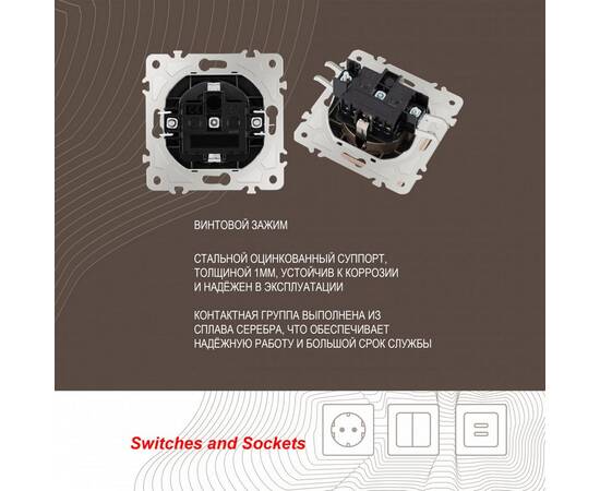 Розетка с заземлением, шторками и защитной крышкой Arte Milano 206.41-1.shampan, изображение 2