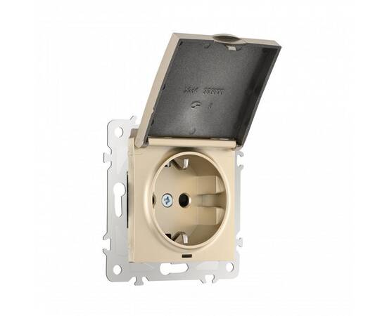 Розетка с заземлением, шторками и защитной крышкой Arte Milano 206.41-1.shampan, изображение 4