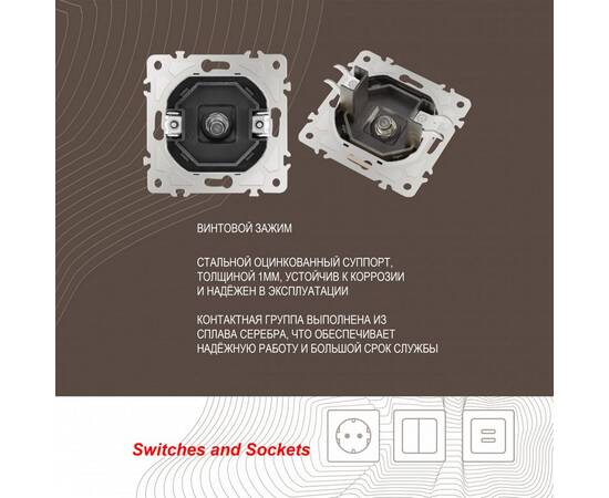 Розетка SAT TV Arte Milano 206.42-1.shampan, изображение 2