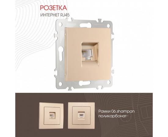 Розетка RJ45 Arte Milano 206.45-1.shampan