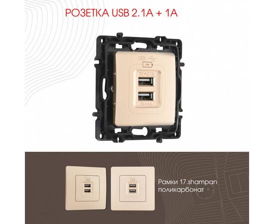 Розетка USB 2.1А+1А Arte Milano 217.46-1.shampan