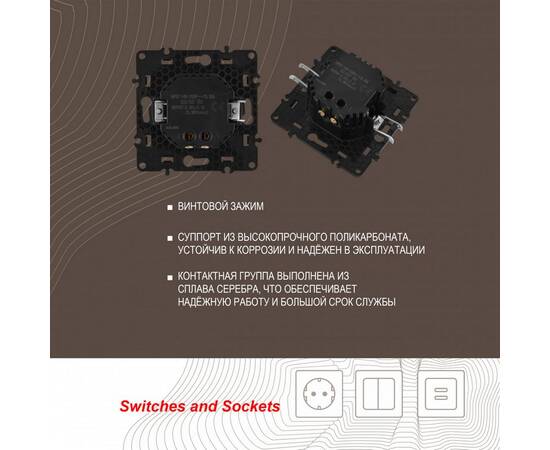 Розетка USB 2.1А+1А Arte Milano 217.46-1.shampan, изображение 2