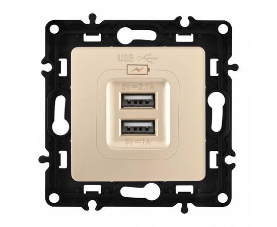 Розетка USB 2.1А+1А Arte Milano 217.46-1.shampan, изображение 4