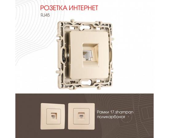 Розетка RJ45 Arte Milano 217.45-1.shampan