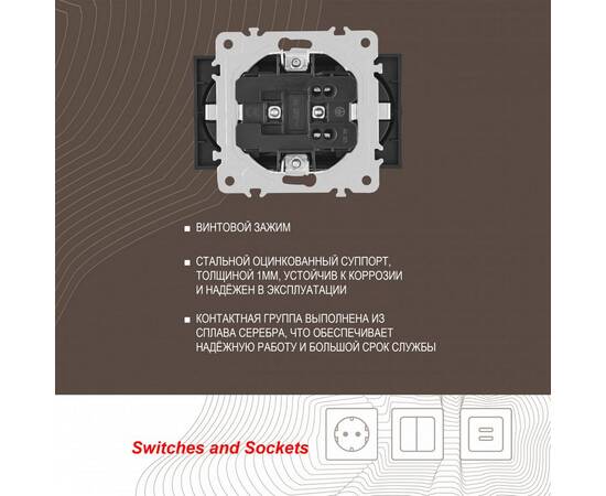 Розетка двойная с заземлением Arte Milano 203.40-2.shampan, изображение 2