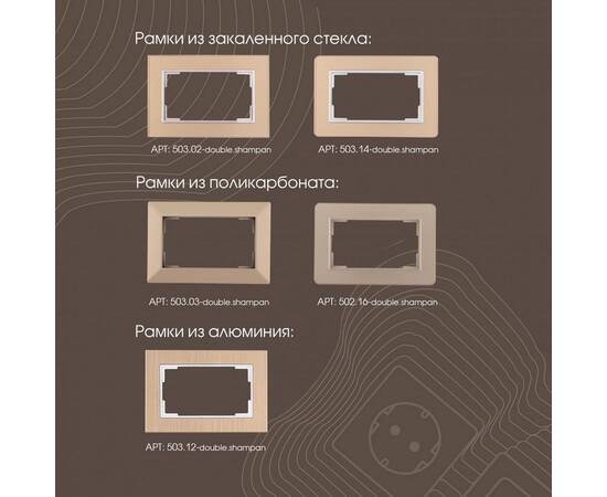 Розетка двойная с заземлением Arte Milano 203.40-2.shampan, изображение 3