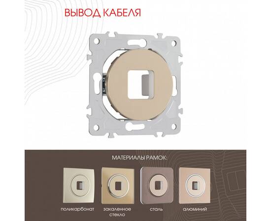 Вывод кабеля Arte Milano 202.49-1.shampan