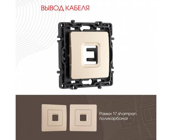 Вывод кабеля Arte Milano 217.49-1.shampan