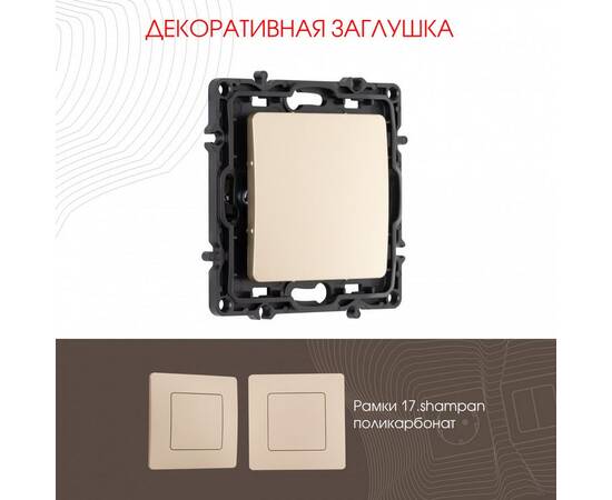 Декоративная заглушка Arte Milano 217.50-1.shampan