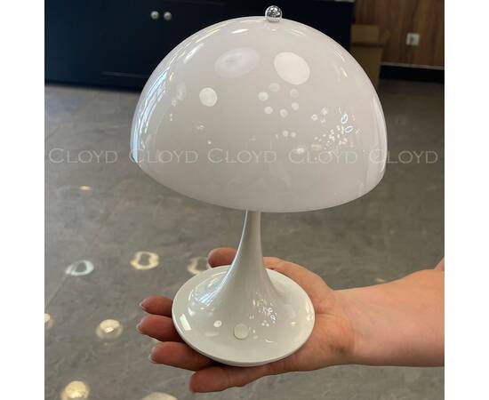 Настольная лампа Cloyd Aktuell 30129, изображение 5