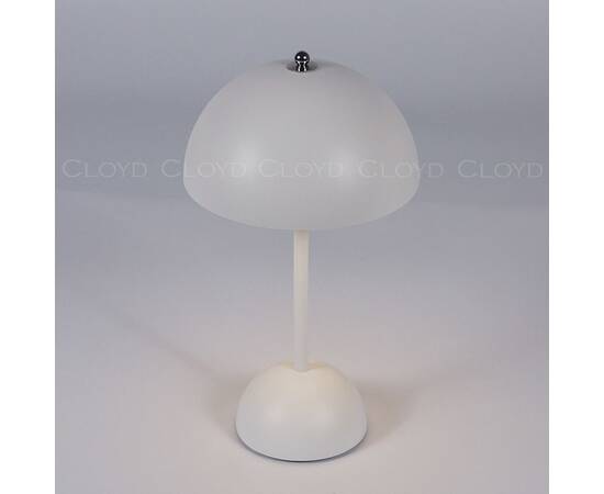 Настольная лампа Cloyd Erma 30135, изображение 3