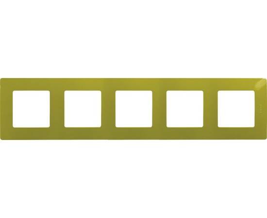 Рамка 5-я, зеленый папоротник, универсальная