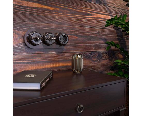 Переключатель-выключатель Werkel одноклавишный Retro коричневый W5612014 4690389166723, изображение 5