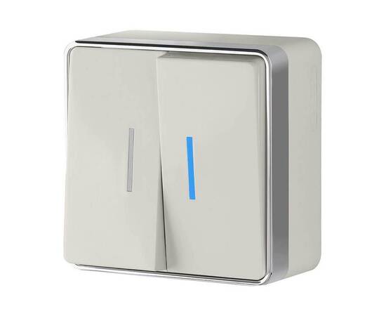 Выключатель двухклавишный с подсветкой Werkel Gallant слоновая кость W5020103 4690389164187