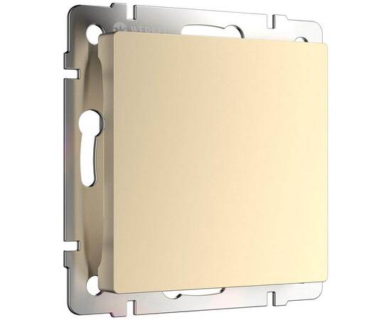 Заглушка Werkel шампань W1159211 4690389157349