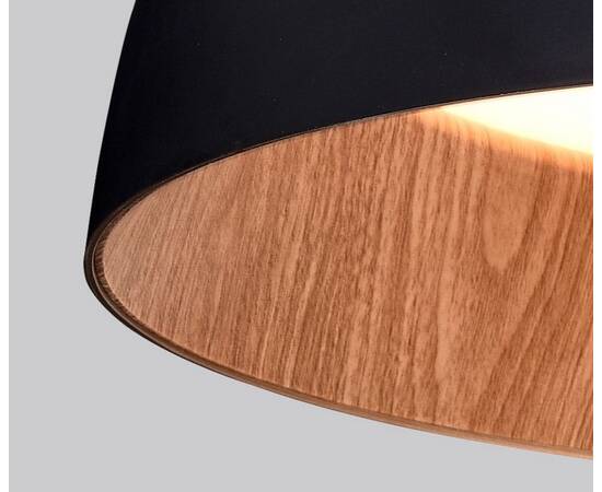 Потолочный светильник Delight Collection C0207-500A black/wood, изображение 2