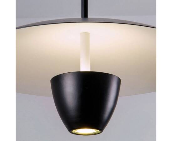 Подвесной светильник Lightera Pichola LE128L-40B, изображение 8