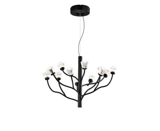 Подвесная люстра Delight Collection P0550-12A black, изображение 2