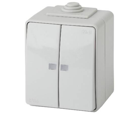 Выключатель двойной с подсветкой Эра 11-1605-03 Б0035977