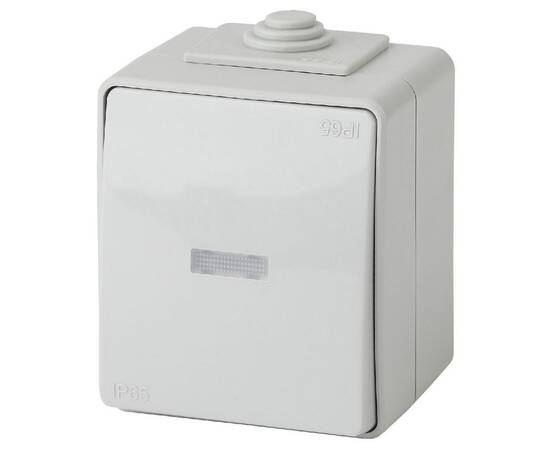 Переключатель с подсветкой Эра 11-1610-03 Б0035981