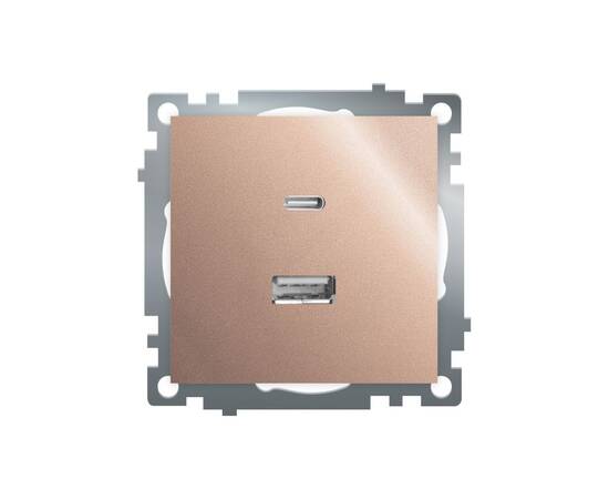 Розетка 2-местная USB + type C Stekker Катрин GLS10-7116-02 50056