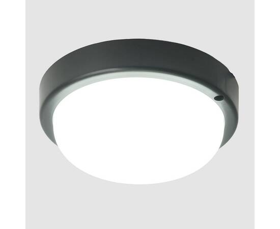 Настенно-потолочный светильник Feron AL3005 51469, изображение 2