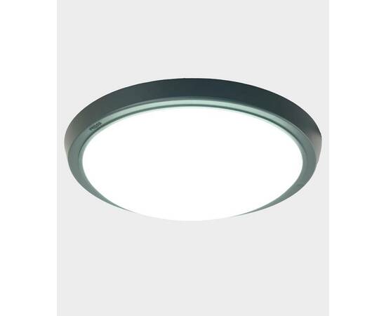 Настенно-потолочный светильник Feron AL3020 51476, изображение 2