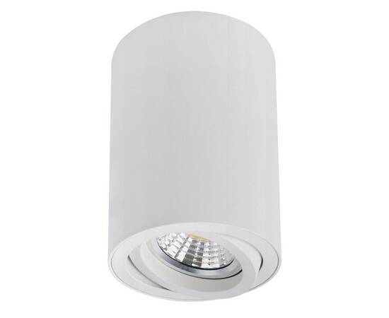 Накладной светильник Arte Lamp Sentry A1566PL-1WH