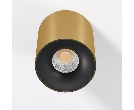 Накладной светильник Elektrostandard Primo 25116/LED 4690389212987 a069414, изображение 2