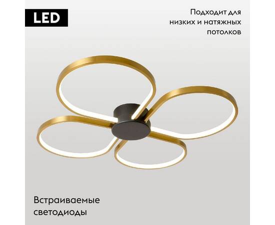 Потолочная люстра Lussole Lowell LSP-7351, изображение 2